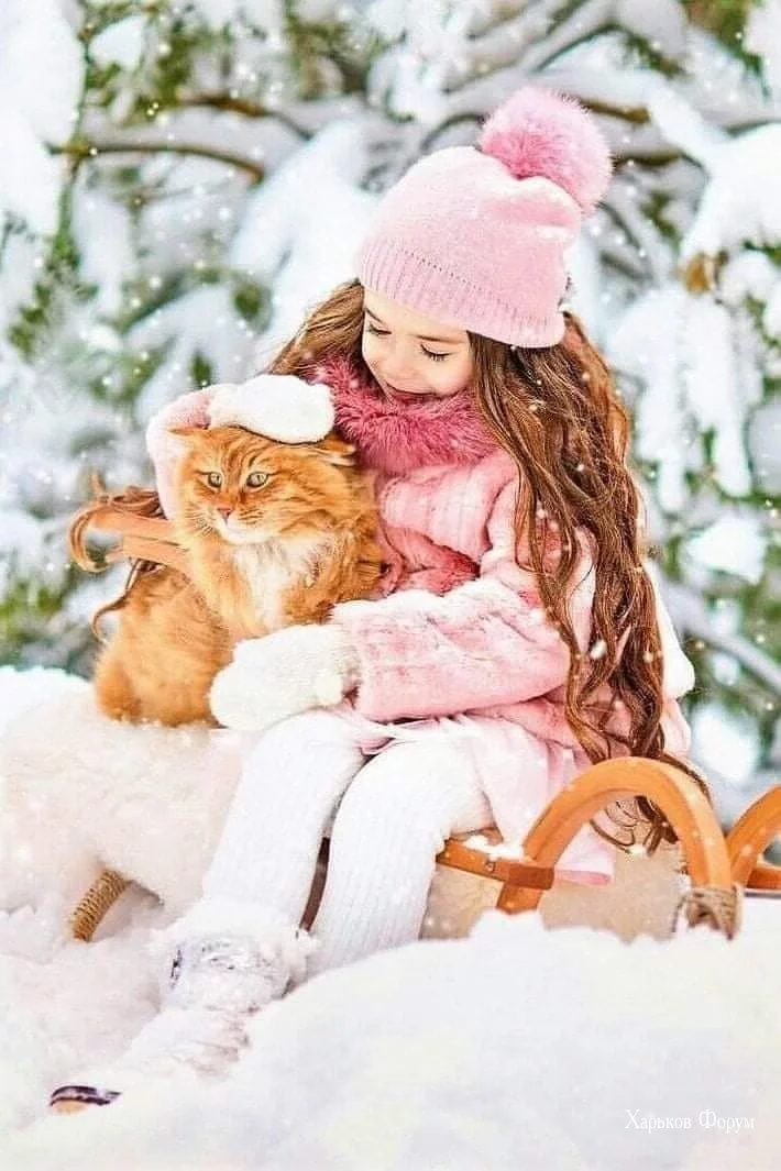 b18499b4cd86703541.webp