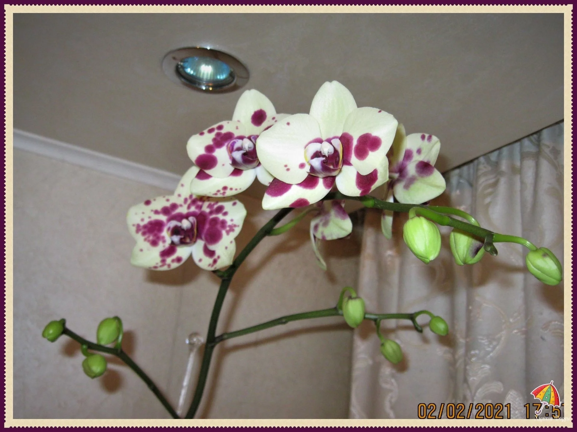 b193ca87703212e225.webp