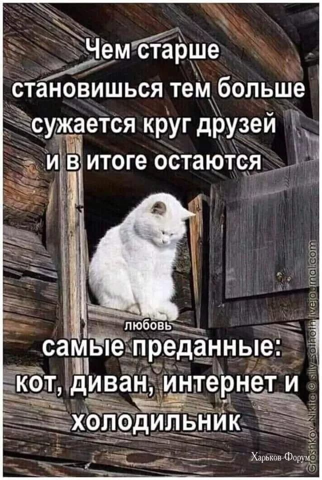 b1a697ce3727d66f4d8f4a.webp