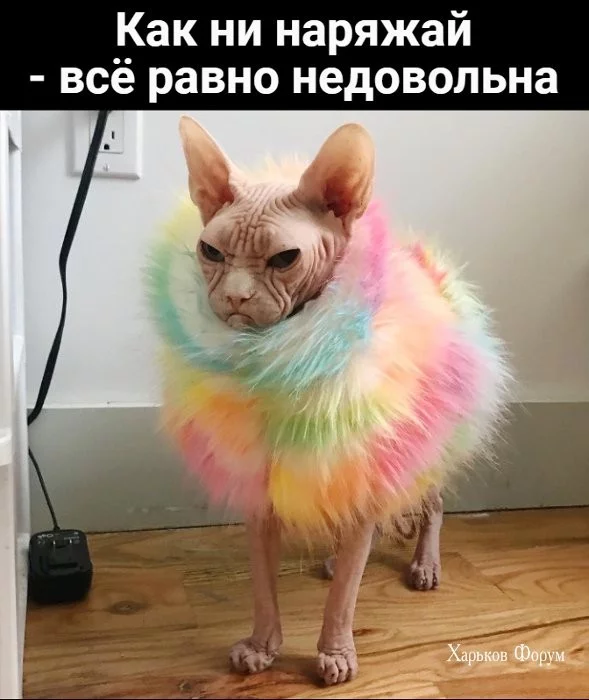 b1c23b401da0396926.webp