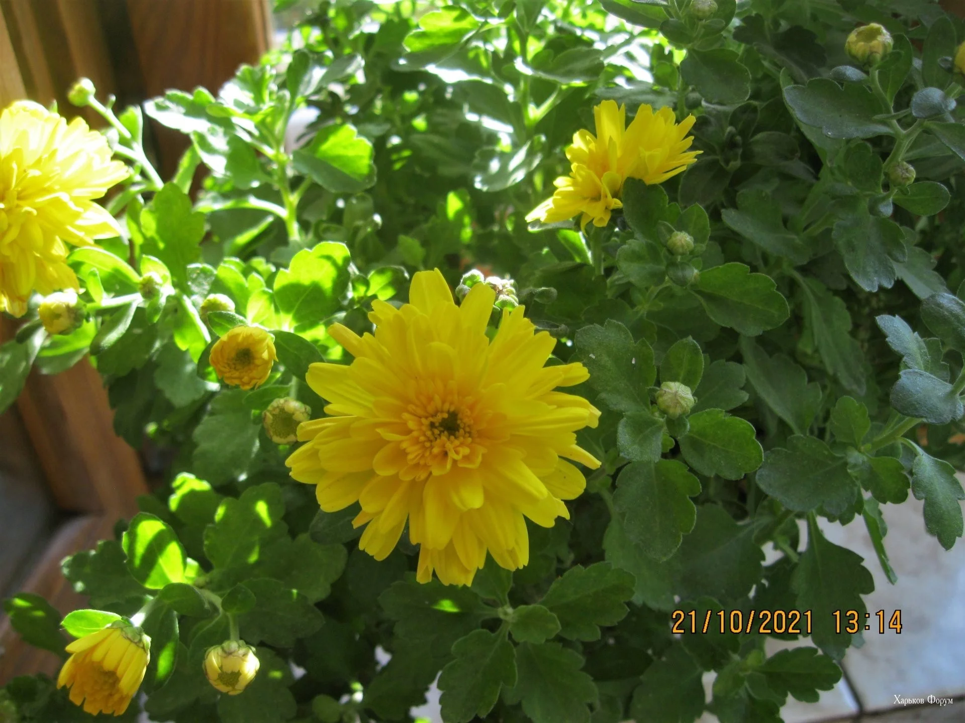 b1db517385ecfc4d55.webp