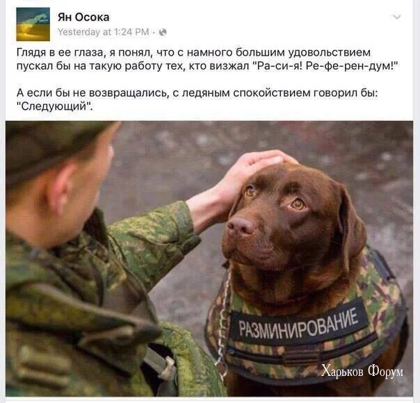 b1e2e234ed063b6f88.webp