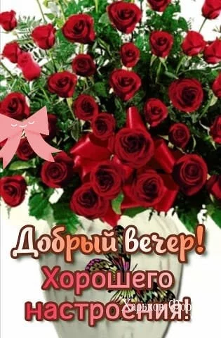 b1ef85ce1cb2b909b.webp