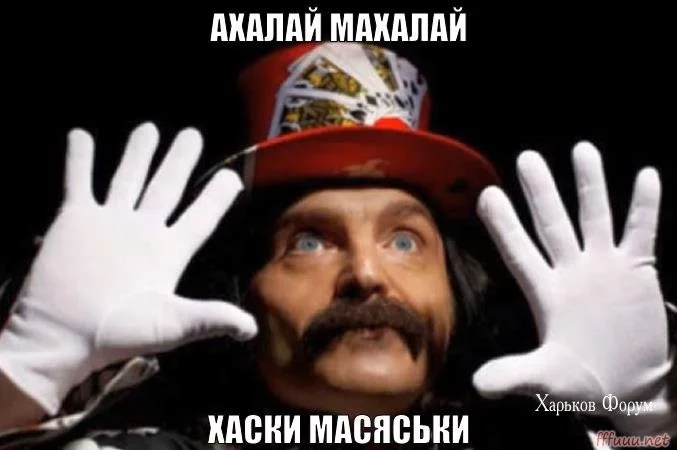 b1f201129ac1d71a1e2b848.webp