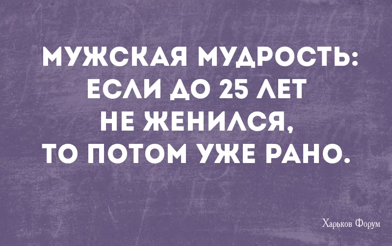 b1f7eea6b4e855298f8d.webp