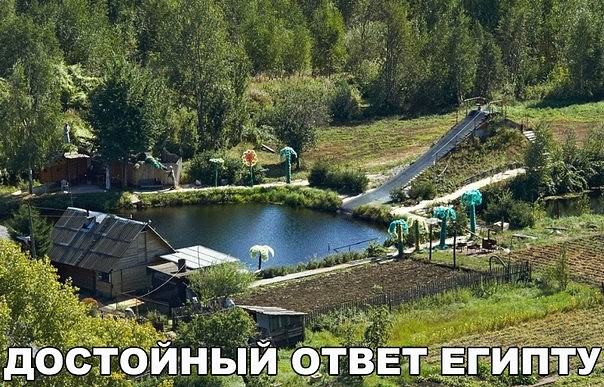 b1fddj.jpg
