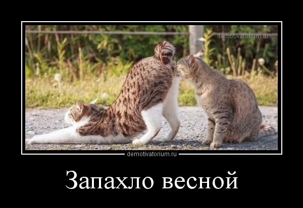 b1hbjh.webp