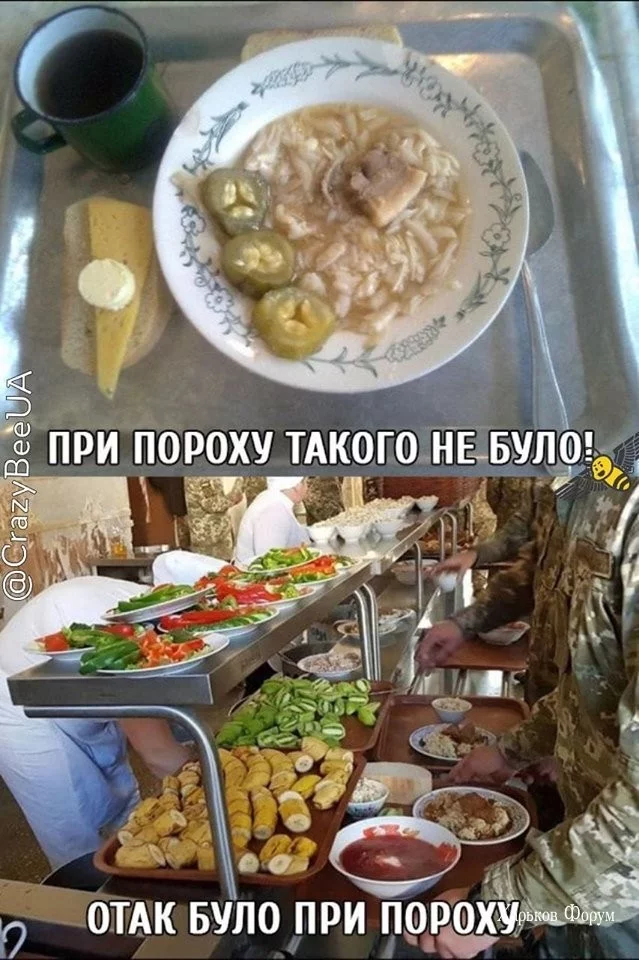 b20856c48953c668b0.webp