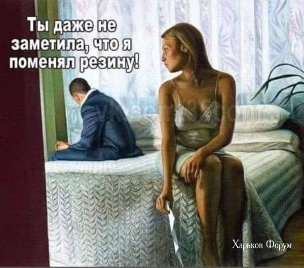 b20c4111f2a51b7c030.webp