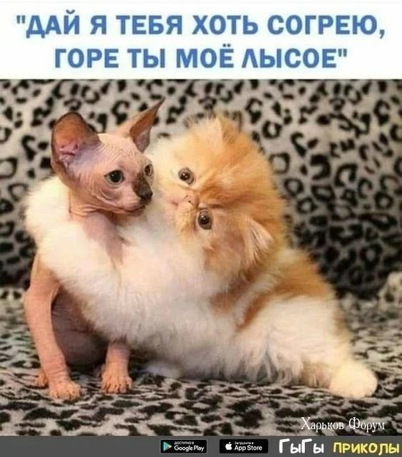 b217addc382e13c7b0.jpg