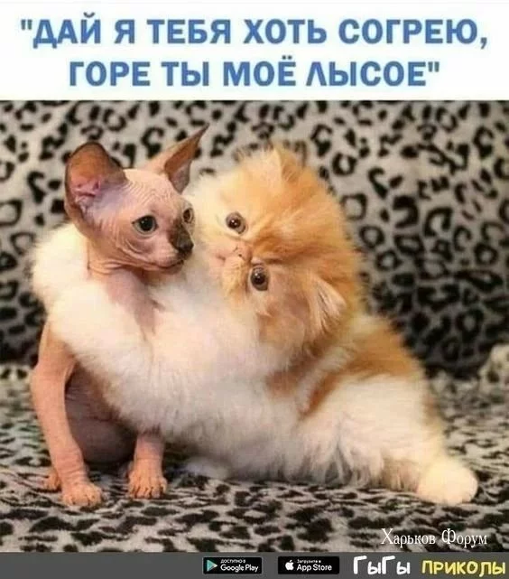 b217addc382e13c7b0.webp