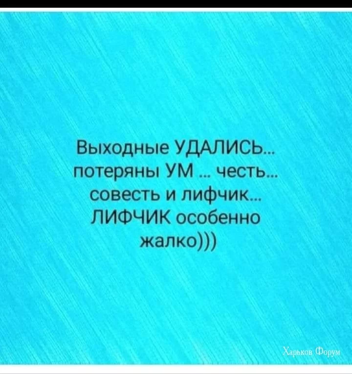 b2325e10422f9816b.webp