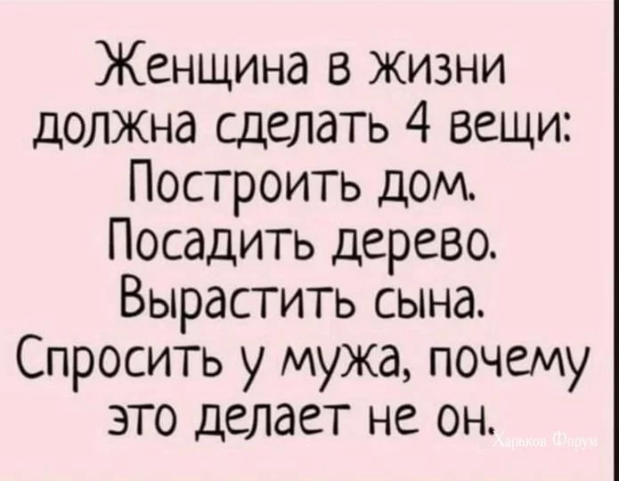 b268ad0a0ad81064fe3c.webp
