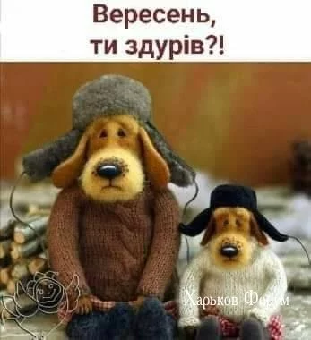 b26be873fa40c25633e.webp