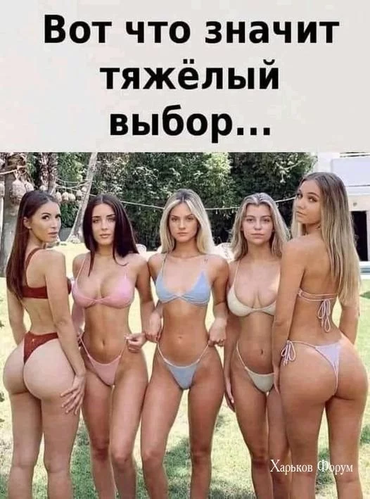b26cefbe91f44cc1f6e064.webp