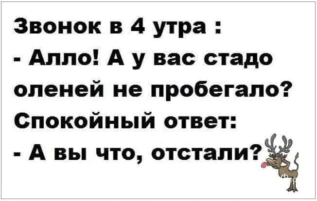 b26d37f4af98967c97b535a.webp