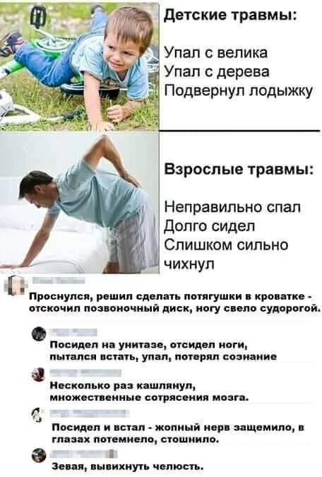b282c4d503f43bff.webp