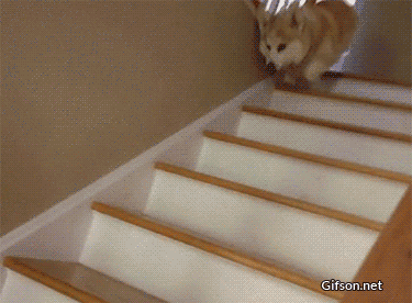 b28d4b9494adc273717105ec0bcd06f8.gif