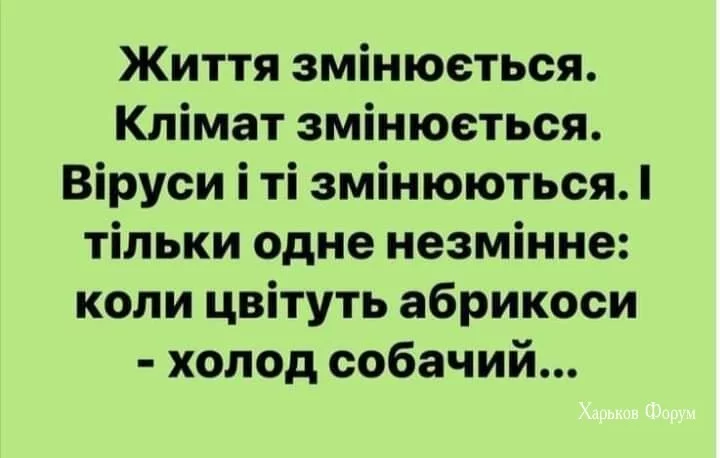 b29f65fae8229708ed.webp