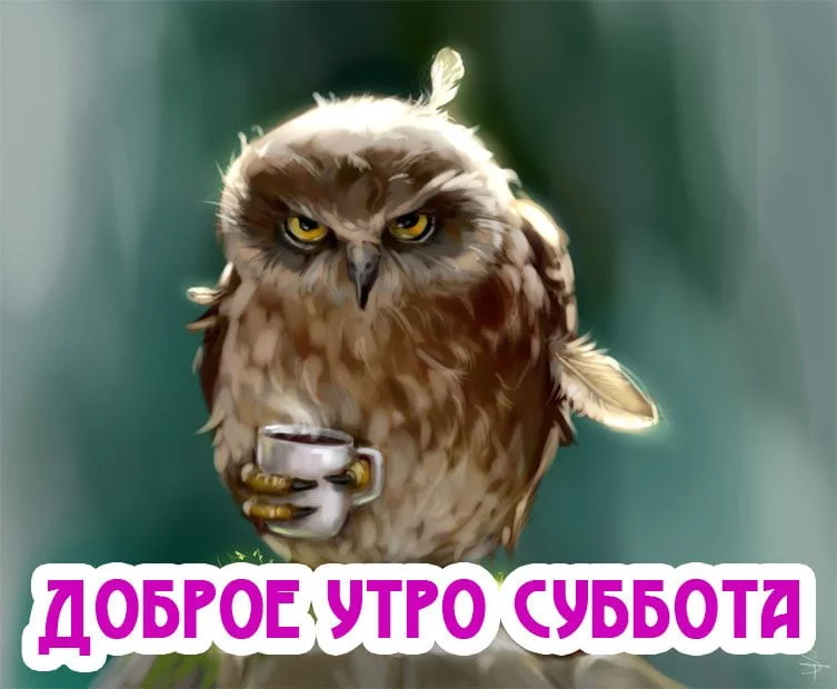 b2aagb.webp
