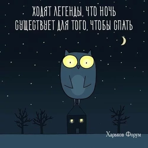 b2b652b9baa216b285caa.webp