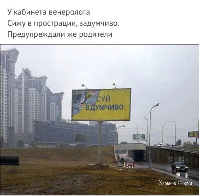 b2c08cdeb3b289ed16ef.webp