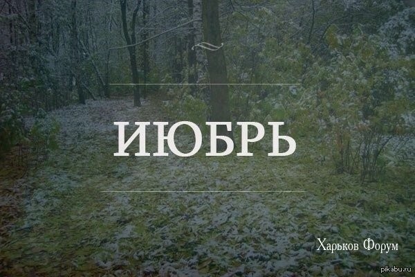 b2c81b6b3c9908cc2ffff61d.jpg