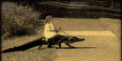 b2dc48e8d49d1d2d370f9.gif