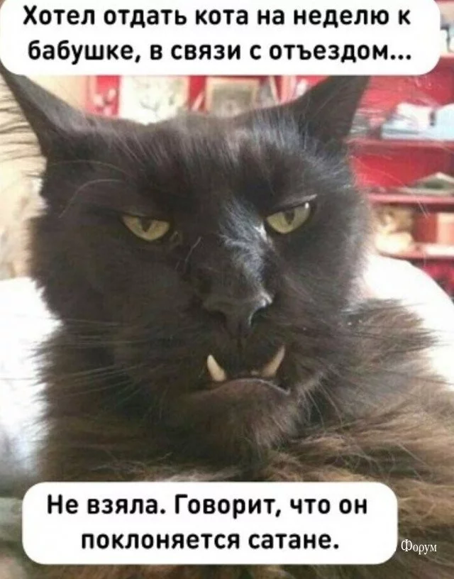 b2e0d7af42ca449577ba56.webp