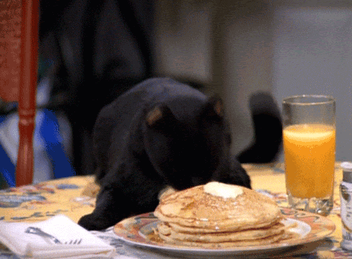 b2e592ed6ea32d90b8a4ba.gif