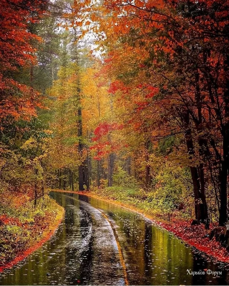 b2f77b6275af5b3480c4be.webp