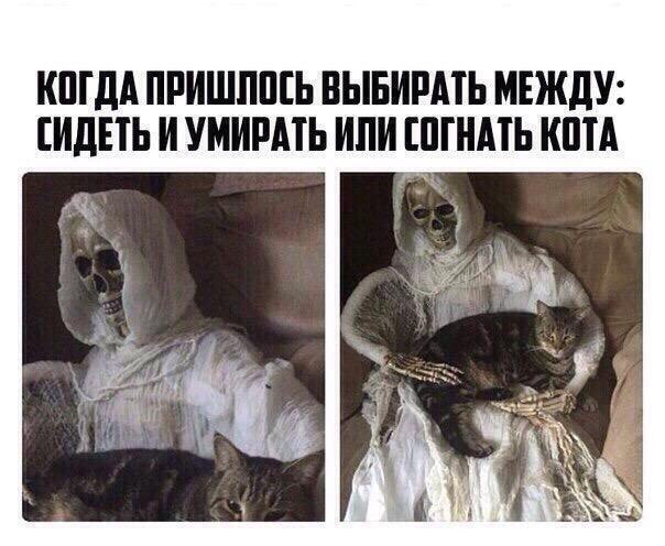 b2hjea.jpg