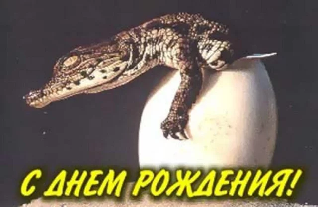 b2jdje.webp
