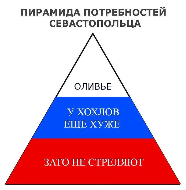 B2VA_YjIAAAIpAh.webp
