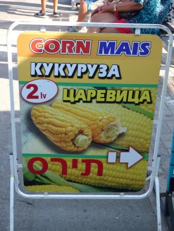 %B3%D0%B0%D1%80%D0%B8%D0%B8-e1449431285180-338x450.webp