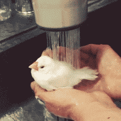 b30eb702f0acce5b3a179.gif