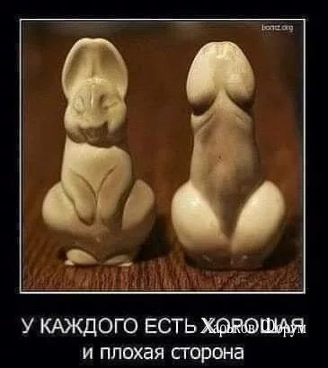 b320a7949fc719589a068b0.webp