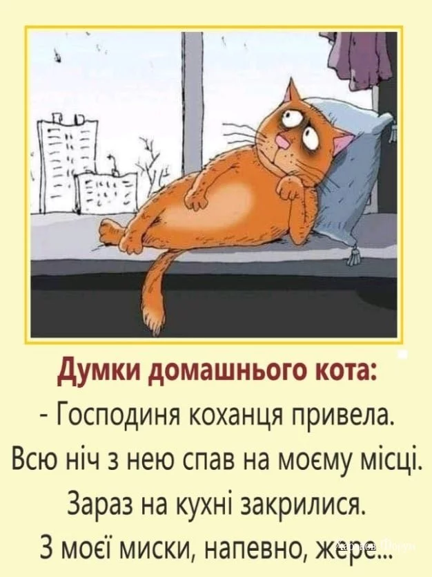 b3210fa0766c470de610ba3.webp
