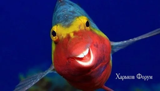 b3220111449512b0c43d147.webp