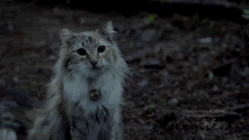 b323d35b37239cb10884e5c.gif