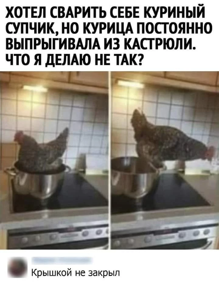 b3539989ceb4c10592cdea6.webp