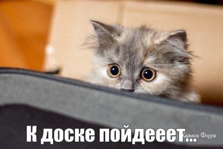 b35d393201f782390ef3ad85.jpg