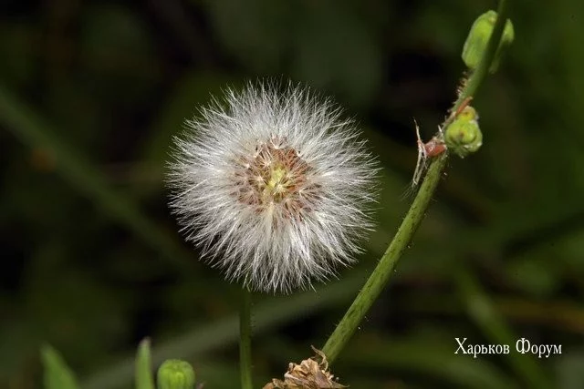 b36aff9859069bd70cc27e6.webp