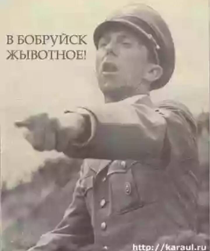 b36bf73dda68a39a9c89a009b5d44881.jpg