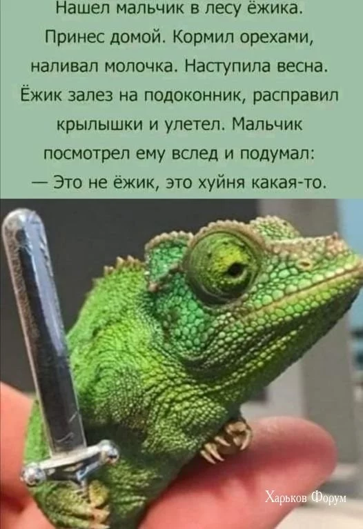 b3745ae6d84c61fb6.webp