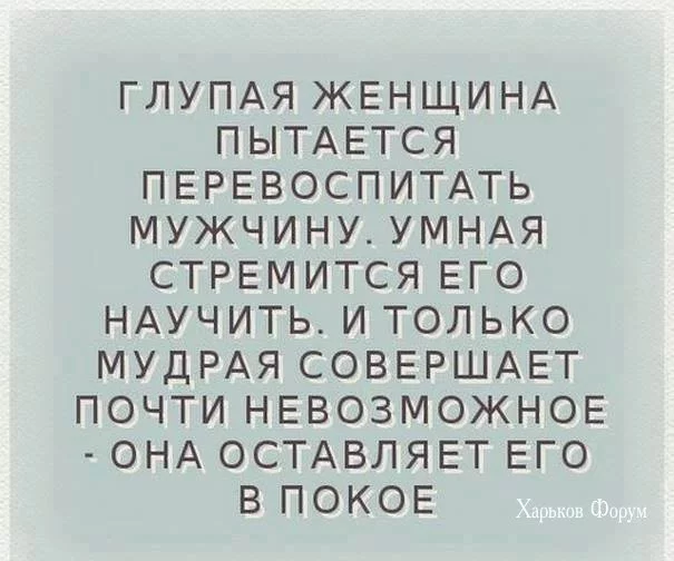 b37c69809ba1f17c.webp