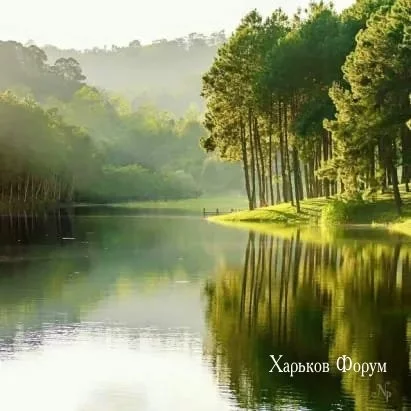 b38b7540b9f7f44ee1ae896d.webp