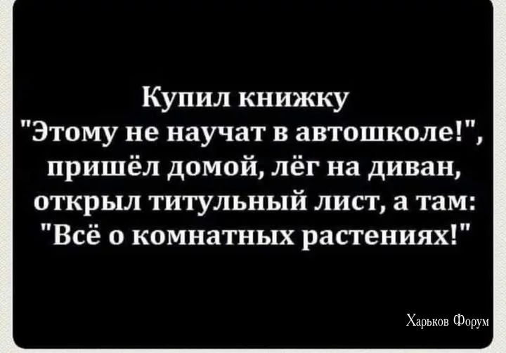 b39cb157b9bf9b7d92b.webp