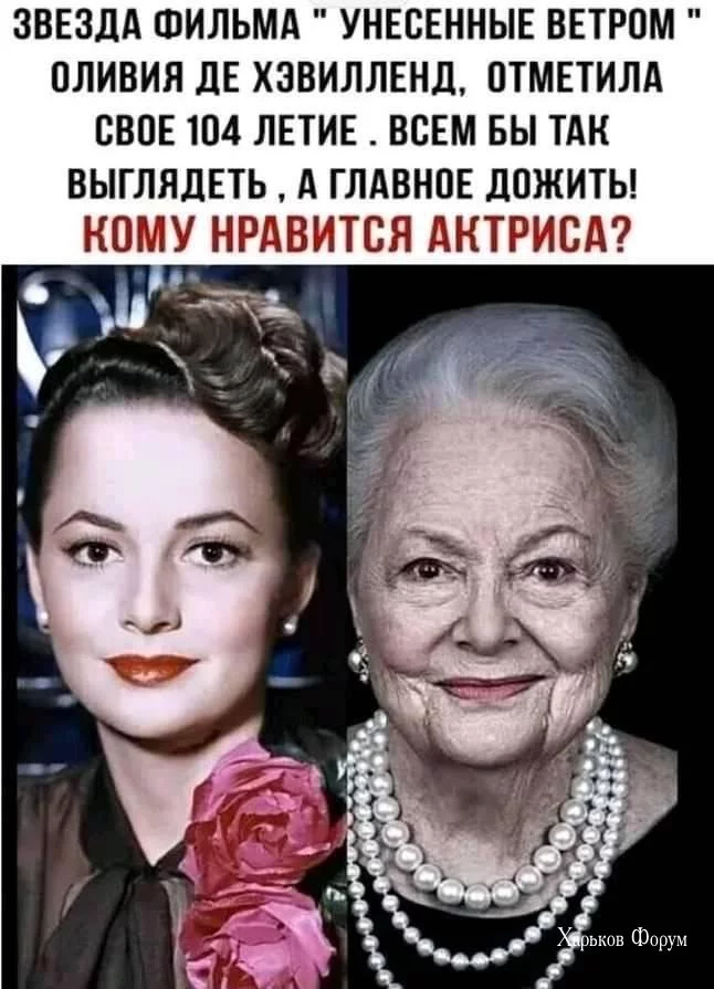 b3b10457b3d53f91622a.webp