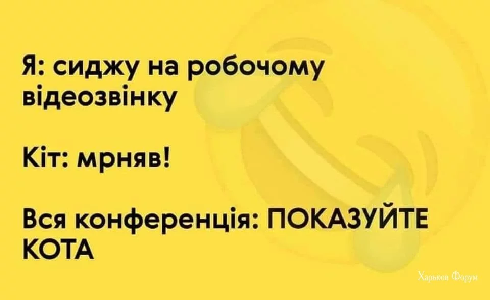 b3b4047a75b57df3c66a.webp